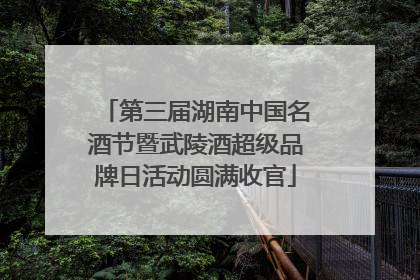 第三届湖南中国名酒节暨武陵酒超级品牌日活动圆满收官