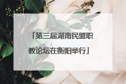 第三届湖南民盟职教论坛在衡阳举行