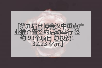 第九届丝博会汉中重点产业推介暨签约活动举行 签约 93个项目 总投资132.23 亿元