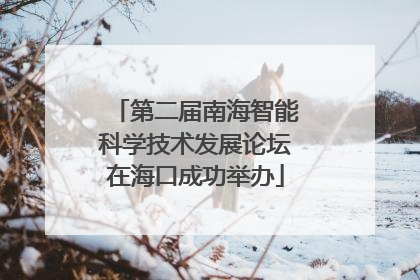 第二届南海智能科学技术发展论坛在海口成功举办