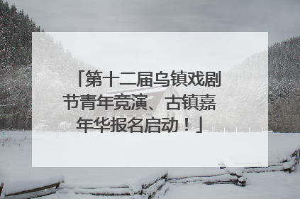 第十二届乌镇戏剧节青年竞演、古镇嘉年华报名启动！