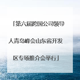 第六届跨国公司领导人青岛峰会山东省开发区专场推介会举行