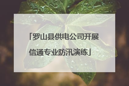 罗山县供电公司开展信通专业防汛演练