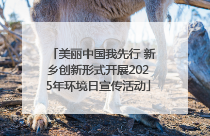 美丽中国我先行 新乡创新形式开展2025年环境日宣传活动