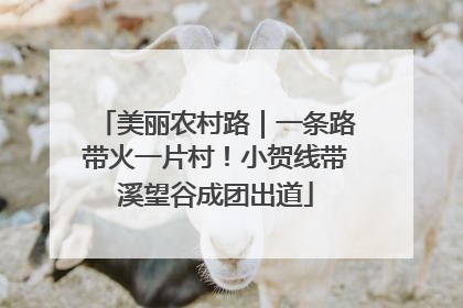 美丽农村路｜一条路带火一片村！小贺线带溪望谷成团出道