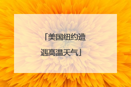 美国纽约遭遇高温天气