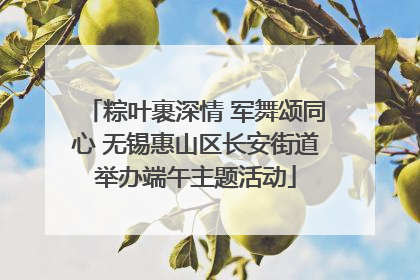 粽叶裹深情 军舞颂同心 无锡惠山区长安街道举办端午主题活动