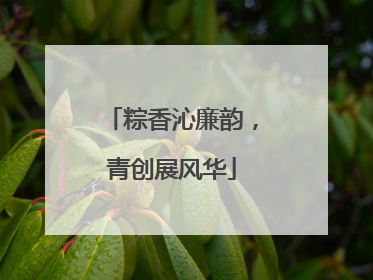 粽香沁廉韵，青创展风华