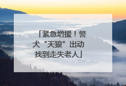 紧急增援！警犬“天狼”出动找到走失老人
