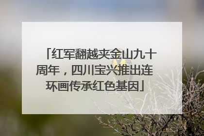 红军翻越夹金山九十周年，四川宝兴推出连环画传承红色基因