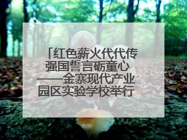 红色薪火代代传 强国誓言砺童心——金寨现代产业园区实验学校举行分批入队仪式