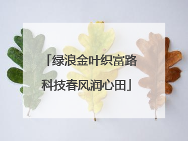 绿浪金叶织富路 科技春风润心田