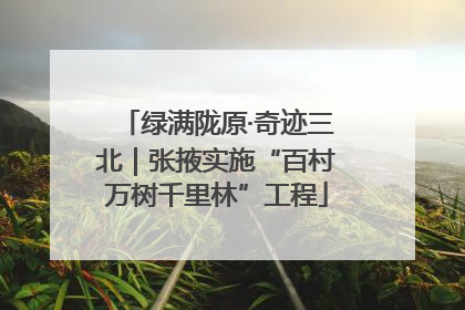 绿满陇原·奇迹三北｜张掖实施“百村万树千里林”工程