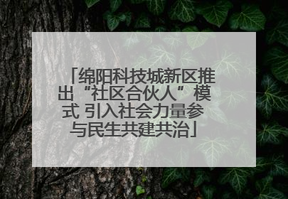 绵阳科技城新区推出“社区合伙人”模式 引入社会力量参与民生共建共治