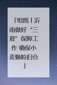 组图丨沂南做好“三夏”保障工作 确保小麦颗粒归仓