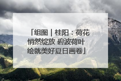 组图｜桂阳：荷花悄然绽放 碧波荷叶绘就美好夏日画卷
