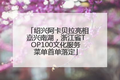 绍兴阿卡贝拉亮相嘉兴南湖，浙江省TOP100文化服务菜单首单落定