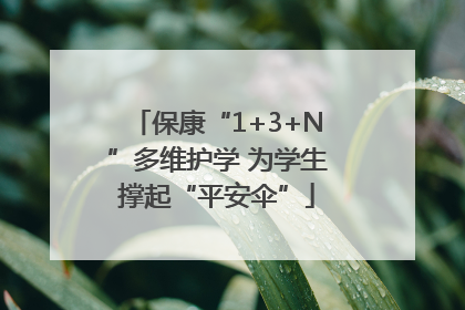 保康“1+3+N”多维护学 为学生撑起“平安伞”