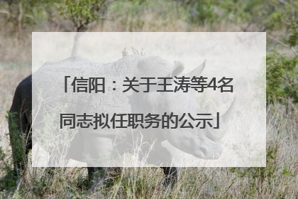 信阳：关于王涛等4名同志拟任职务的公示
