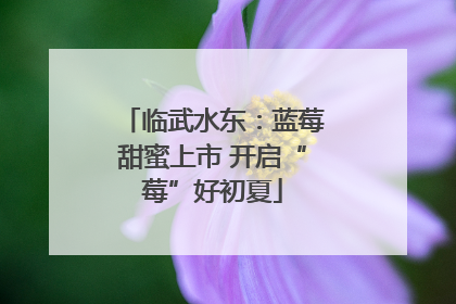 临武水东：蓝莓甜蜜上市 开启“莓”好初夏