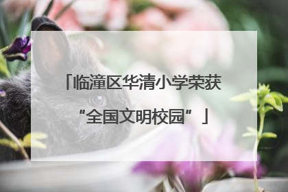 临潼区华清小学荣获“全国文明校园”
