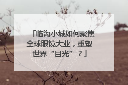 临海小城如何聚焦全球眼镜大业，重塑世界“目光”？