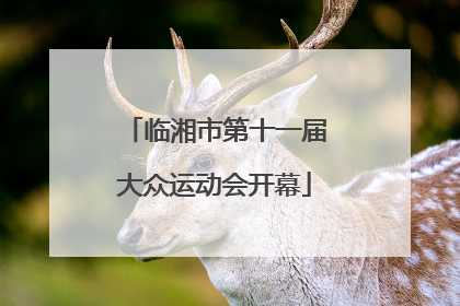 临湘市第十一届大众运动会开幕