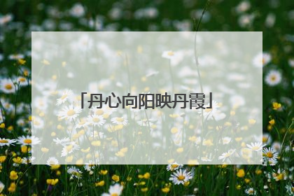 丹心向阳映丹霞