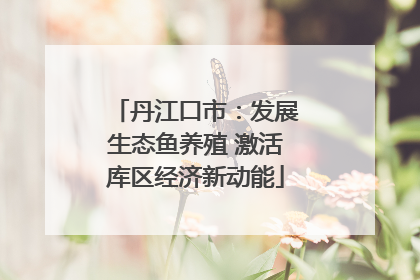 丹江口市：发展生态鱼养殖 激活库区经济新动能