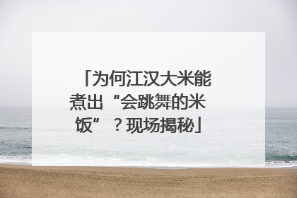 为何江汉大米能煮出“会跳舞的米饭”？现场揭秘