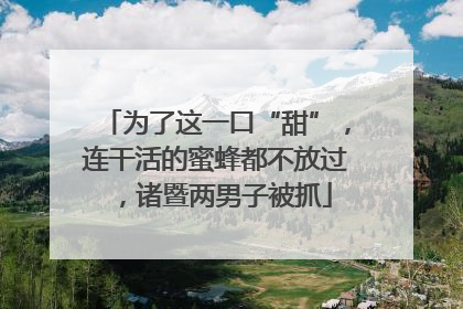 为了这一口“甜”，连干活的蜜蜂都不放过，诸暨两男子被抓