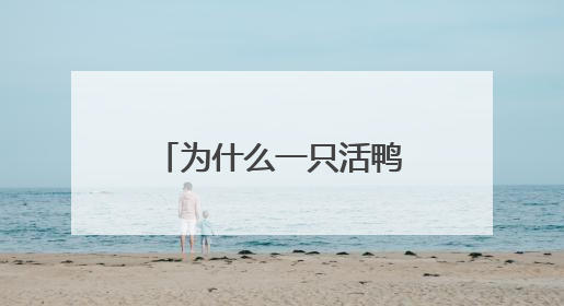 为什么一只活鸭上百元，一只烤鸭只要25元？