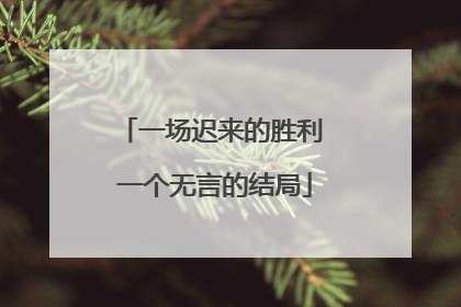 一场迟来的胜利 一个无言的结局