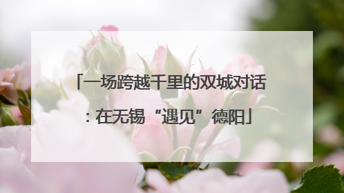 一场跨越千里的双城对话：在无锡“遇见”德阳