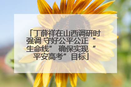 丁薛祥在山西调研时强调 守好公平公正“生命线” 确保实现“平安高考”目标