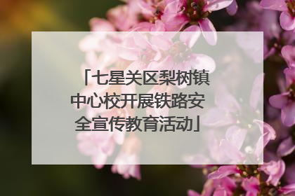 七星关区梨树镇中心校开展铁路安全宣传教育活动