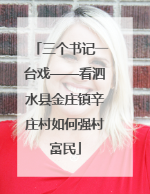 三个书记一台戏——看泗水县金庄镇辛庄村如何强村富民