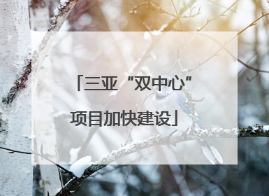 三亚“双中心”项目加快建设