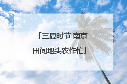 三夏时节 南京田间地头农作忙