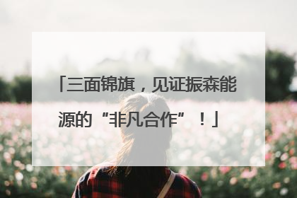 三面锦旗，见证振森能源的“非凡合作”！