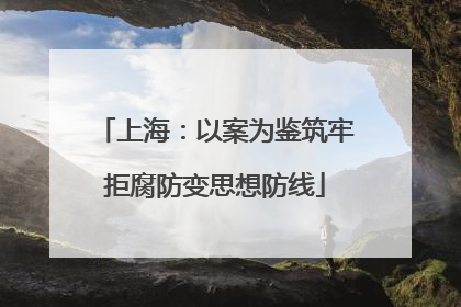 上海：以案为鉴筑牢拒腐防变思想防线