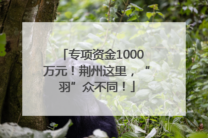专项资金1000万元！荆州这里，“羽”众不同！