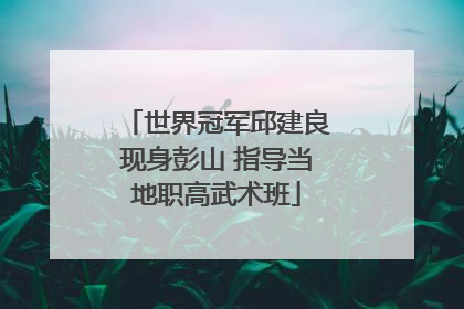 世界冠军邱建良现身彭山 指导当地职高武术班