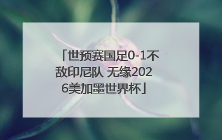 世预赛国足0-1不敌印尼队 无缘2026美加墨世界杯