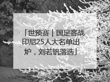 世预赛｜国足客战印尼25人大名单出炉，刘若钒落选