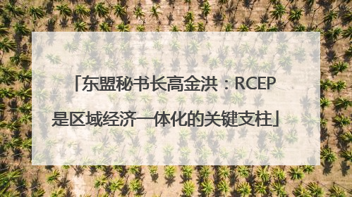 东盟秘书长高金洪：RCEP是区域经济一体化的关键支柱