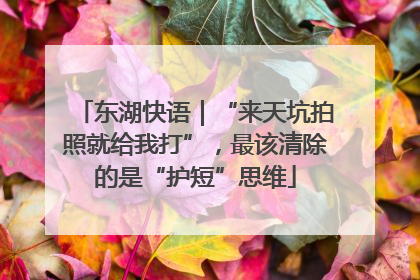 东湖快语｜“来天坑拍照就给我打”，最该清除的是“护短”思维