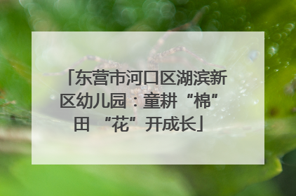 东营市河口区湖滨新区幼儿园：童耕“棉”田 “花”开成长