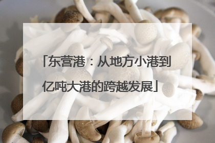 东营港：从地方小港到亿吨大港的跨越发展