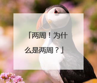 两周！为什么是两周？